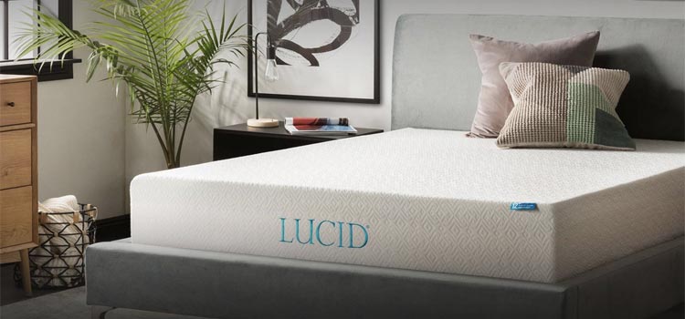 Upto 70% Off Lucid Coupon Code & Promo Code Mattress 2024